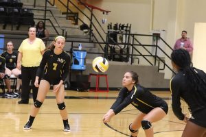 Volleyball