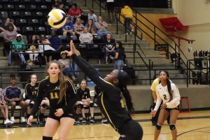 Volleyball 5